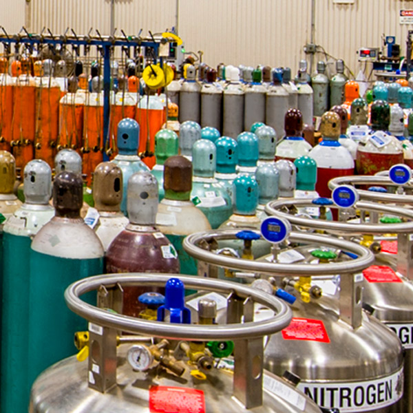Image of gas cylinders and liquid dewars